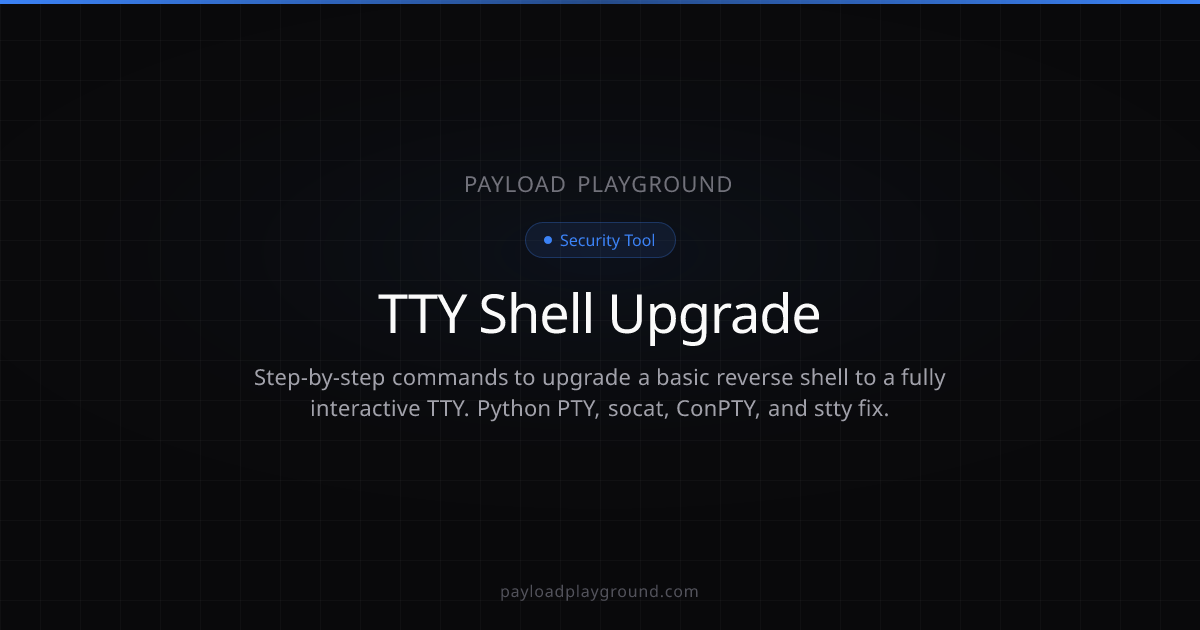 TTY Shell Upgrade & Stabilization | Payload Playground